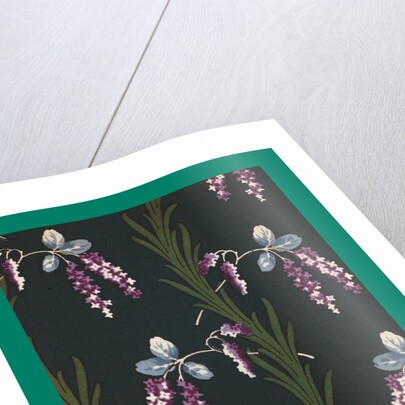 French Fabrics; First Half of the Nineteenth Century by Anonymous