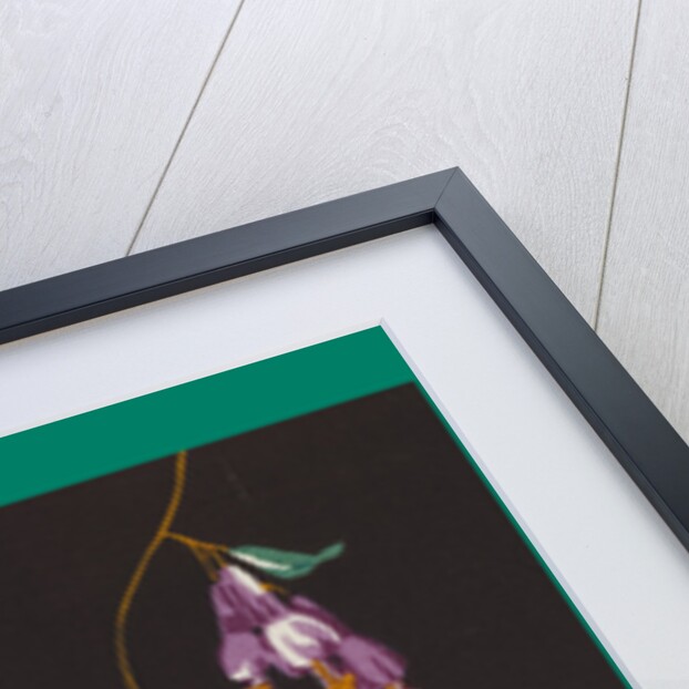 French Fabrics; First Half of the Nineteenth Century by Anonymous