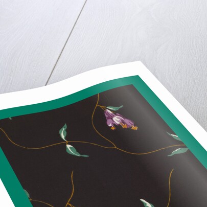 French Fabrics; First Half of the Nineteenth Century by Anonymous