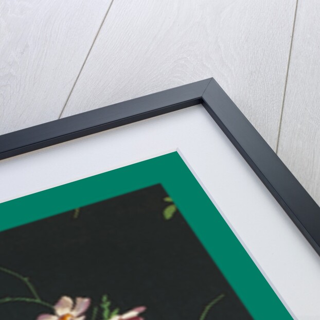 French Fabrics; First Half of the Nineteenth Century by Anonymous