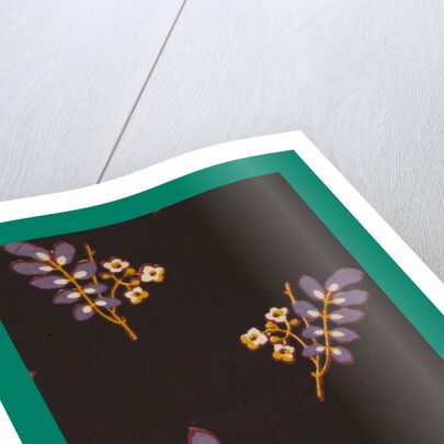 French Fabrics; First Half of the Nineteenth Century by Anonymous