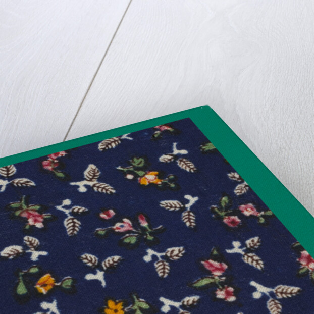 French Fabrics; First Half of the Nineteenth Century by Anonymous