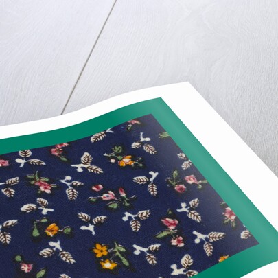 French Fabrics; First Half of the Nineteenth Century by Anonymous