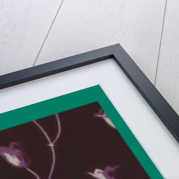 French Fabrics; First Half of the Nineteenth Century by Anonymous