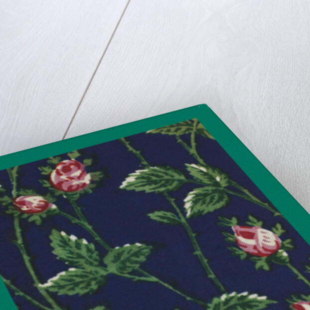 French Fabrics; First Half of the Nineteenth Century by Anonymous