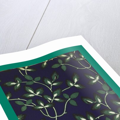 French Fabrics; First Half of the Nineteenth Century by Anonymous