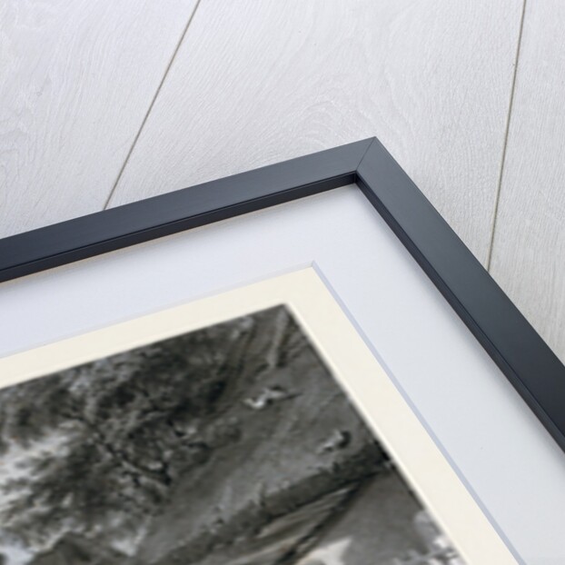 A Wedding in the Village by Anonymous