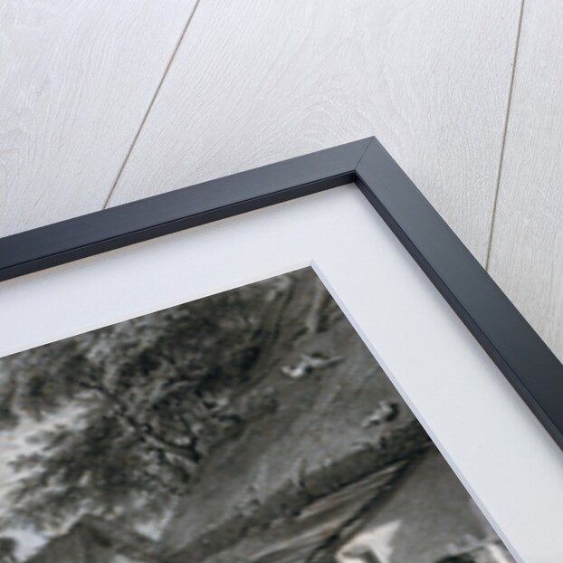 A Wedding in the Village by Anonymous