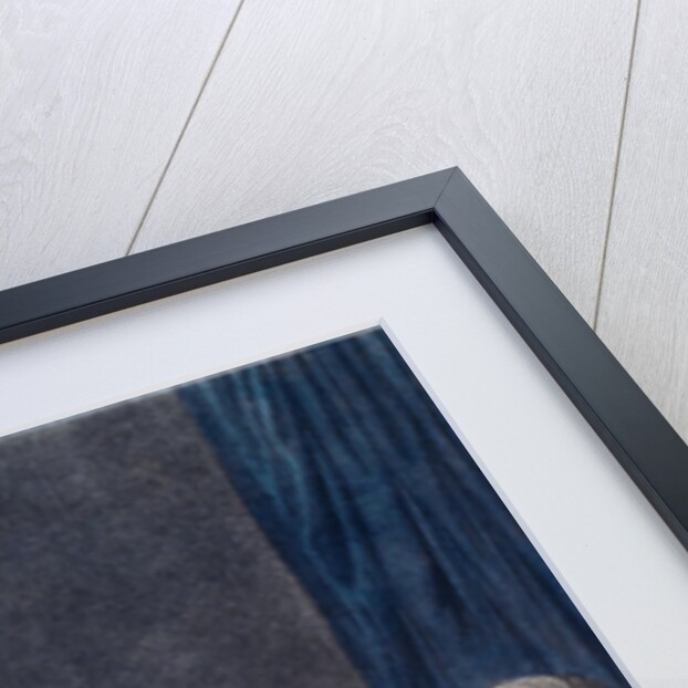 The Evening Meal by Anonymous