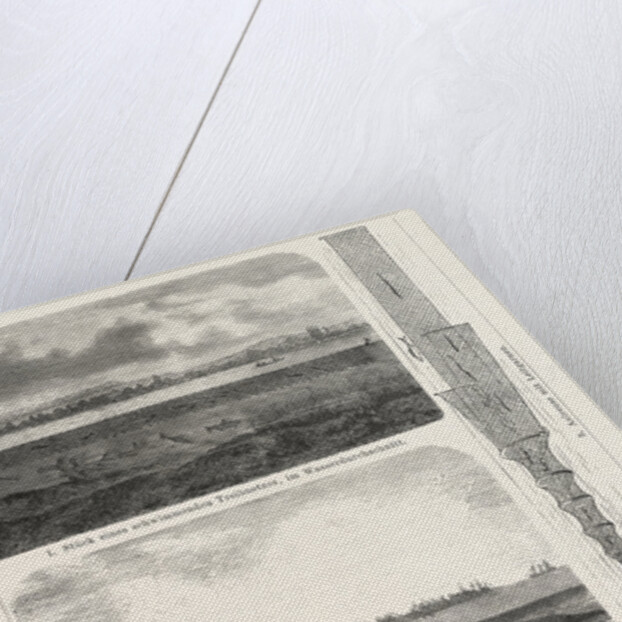 Fishing Net by Anonymous