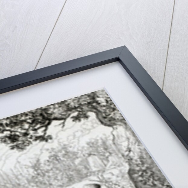 The Harvest in Tivoli by Anonymous