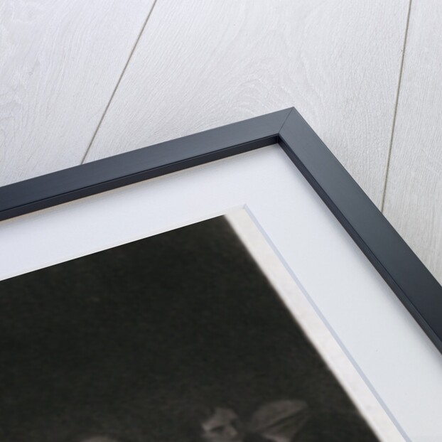 Tasting the Wine by Anonymous