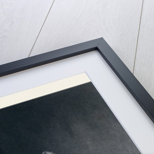 Interior by Anonymous