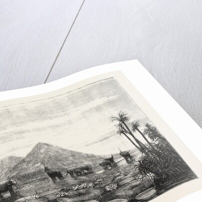 The Great Tank of Minery in the Island of Ceylon by Anonymous