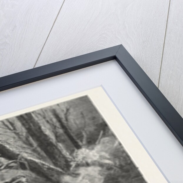 Winter in the Far West: An Indian Sledge Journey, United States by Anonymous