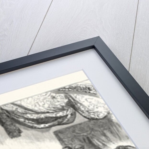 Opening Ceremony of the Westminster Aquarium and Winter Garden, by H.R.H. The Duke of Edinburgh, London by Anonymous