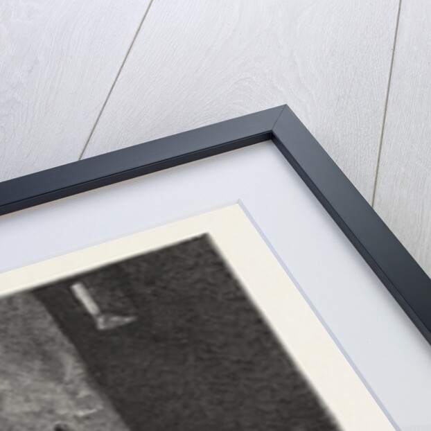 Old Cronies by Anonymous