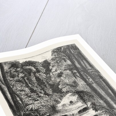 Central African Africa Exploration with Lieut. Cameron River Lukuluive by Anonymous