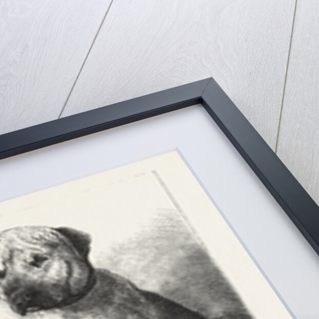 Winners at the Dog Show of the Kennel Club by Anonymous