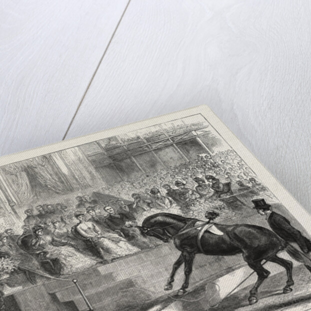 The Prince and Princess of Wales to the Crystal Palace the Royal Party Witnessing the Performance of Myer's Circus by Anonymous