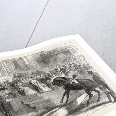The Prince and Princess of Wales to the Crystal Palace the Royal Party Witnessing the Performance of Myer's Circus by Anonymous