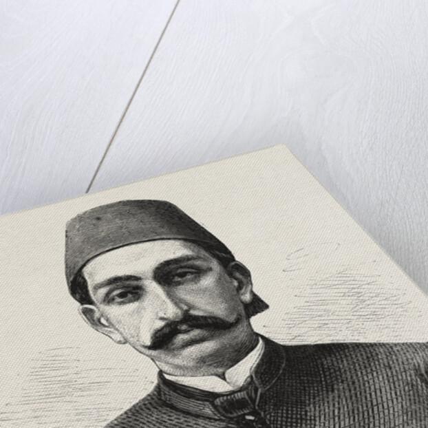 The New Sultan of Turkey, Hamid II by Anonymous