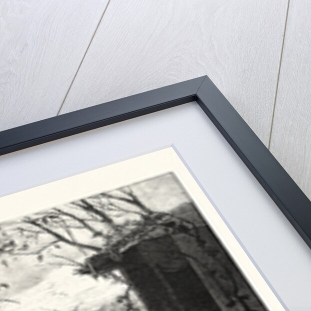 The Old Oaken Bucket by Anonymous