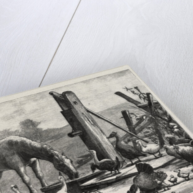 A Fashionable Watering Place. Horse, Geese, Chicken, Outdoor, Farm by Anonymous