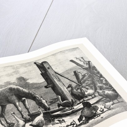 A Fashionable Watering Place. Horse, Geese, Chicken, Outdoor, Farm by Anonymous