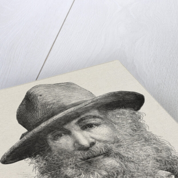 Walt Whitman, May 31, 1819 – March 26, 1892, Was an American Poet, Essayist and Journalist, United States by Anonymous
