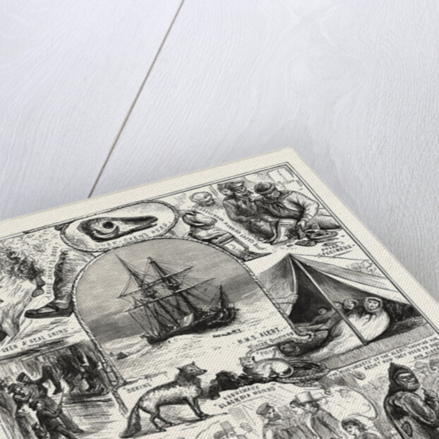 Return of the Arctic Expedition, Sketches on Board Her Majesty's Ships Alert and Discovery, at Queenstown, New Zealand, on Oct. 1876 by Anonymous