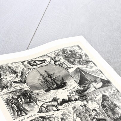 Return of the Arctic Expedition, Sketches on Board Her Majesty's Ships Alert and Discovery, at Queenstown, New Zealand, on Oct. 1876 by Anonymous