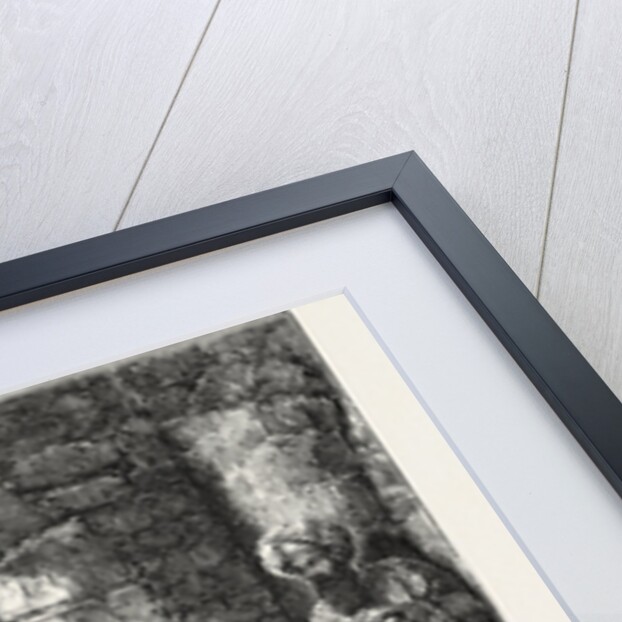 A Stable at Bethlehem by Anonymous