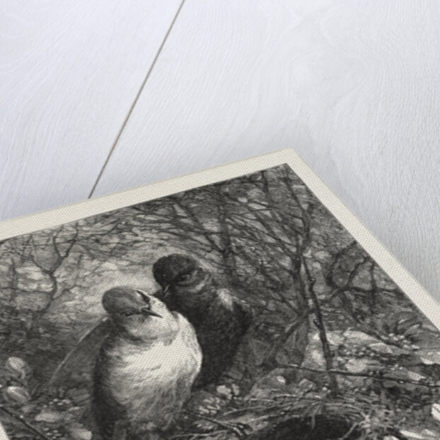 The First Nest by Anonymous