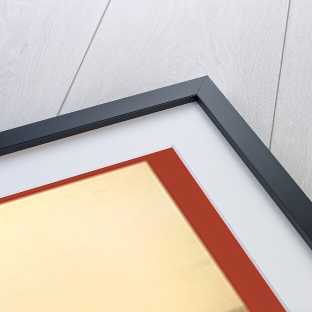 Eiffel Tower and Champ De Mars Seen from Trocadéro Palace, Paris Exposition, 1889 by Anonymous