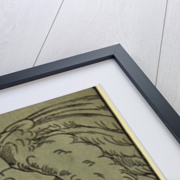 Head of Cupid, Between Ca. 1630 and 1675 by Anonymous