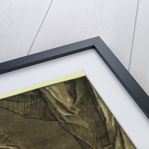 Sibyll, Between 1630 and 1655 by Anonymous