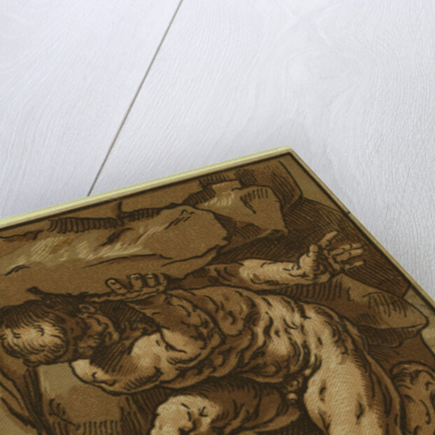 Study of a Giant by Anonymous