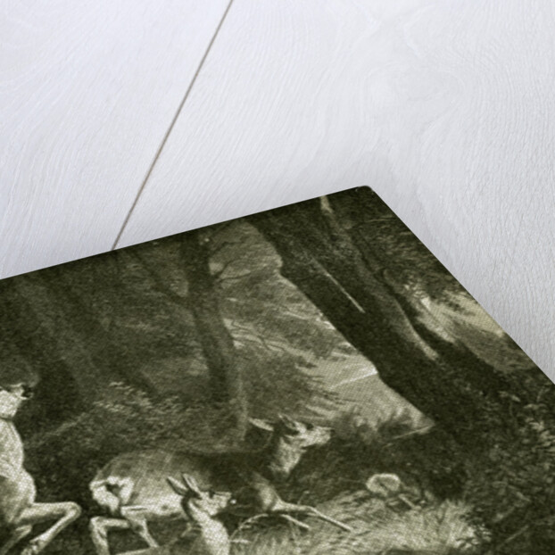 Deer Austria 1891 by Anonymous