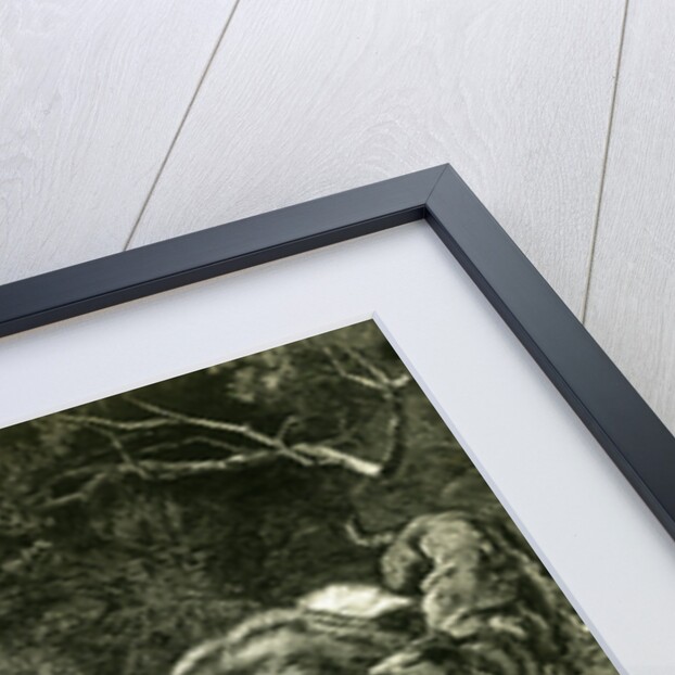 Badger Austria 1891 by Anonymous