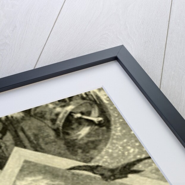 New Year Austria 1891 by Anonymous