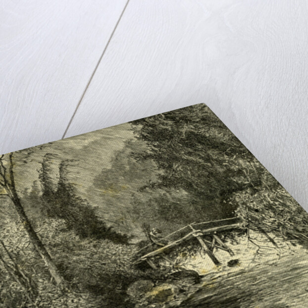 Woods Austria 1891 by Anonymous