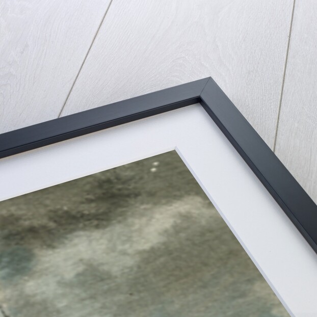 Parliament Canada 19th Century by Anonymous