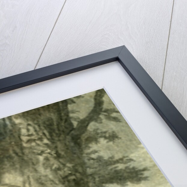 Philippe De Champaigne Louvre Paris France by Anonymous