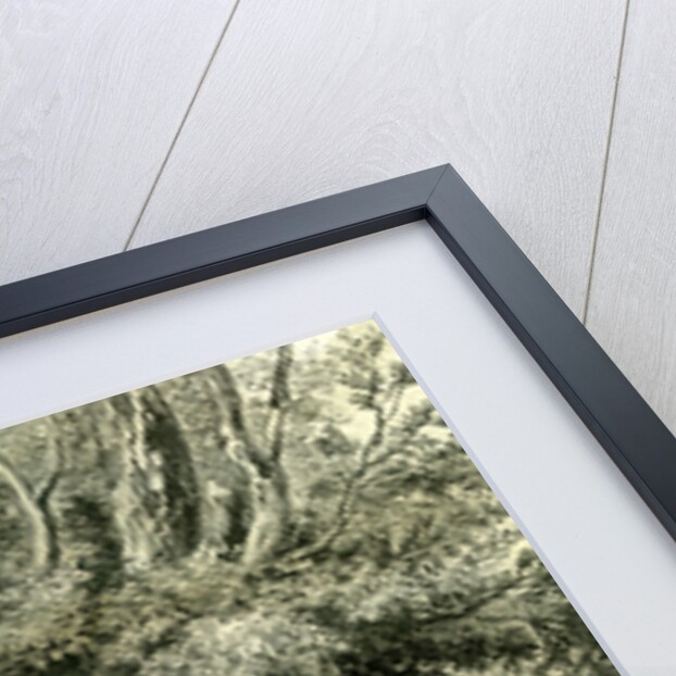 Prilly Lac De Geneve Switzerland 19th Century by Anonymous