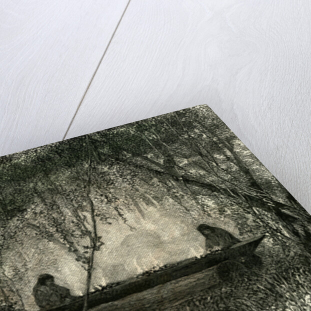 Canoe Fabrication 1869 Peru by Anonymous