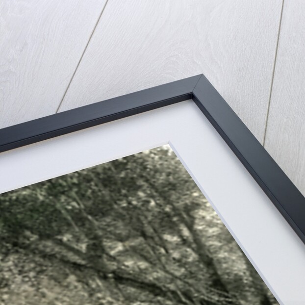 Canoe Fabrication 1869 Peru by Anonymous