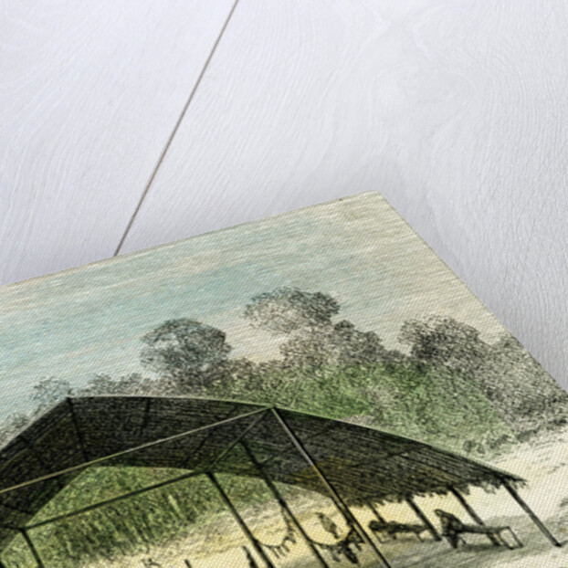 Sipa 1869 Peru by Anonymous