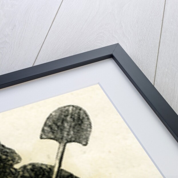 Valley of Arequipa Peon 1869 Peru by Anonymous