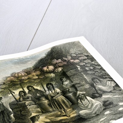 De Sachaca a Yanahuara Cabaret 1869 Peru by Anonymous